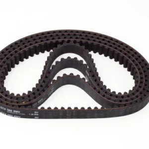 Light Bee Primary Belt