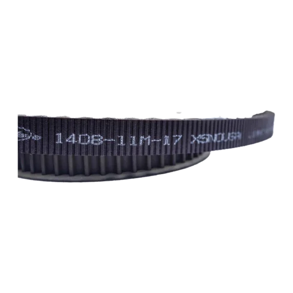 light-bee-secondary-belt-drive-kit-868613_669x669.webp light-bee-secondary-belt-drive-kit-868613_669x669.webp