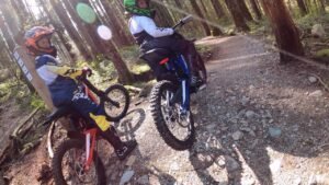 Light Bee S Be Used by Children