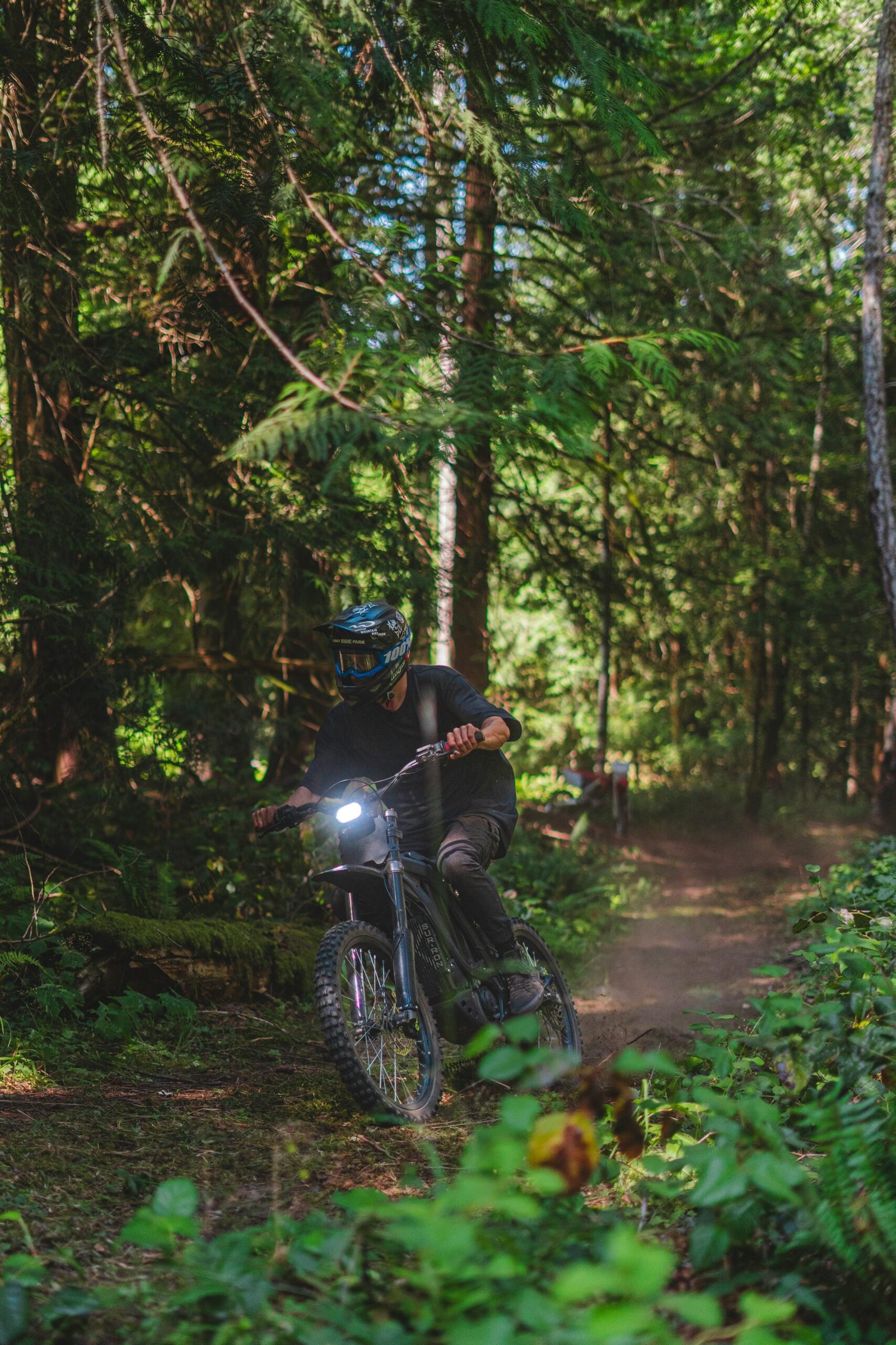 Comprehensive Guide to Surron Chargers: Light Bee, Storm Bee, and Ultra Bee